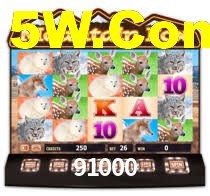 Sinta a adrenalina dos jogos de cassino com 91000